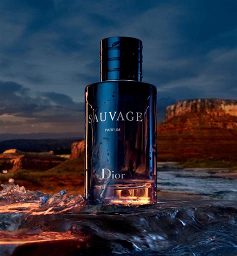 dior sauvage gratis|sauvage dior perfume.